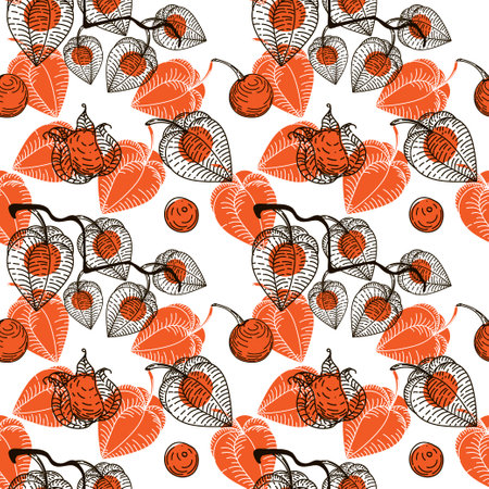 Seamless pattern with dried flowers of physalis, drawn doodle elements in sketch style. Physalis. Phyzalis lace on white backgroundのイラスト素材