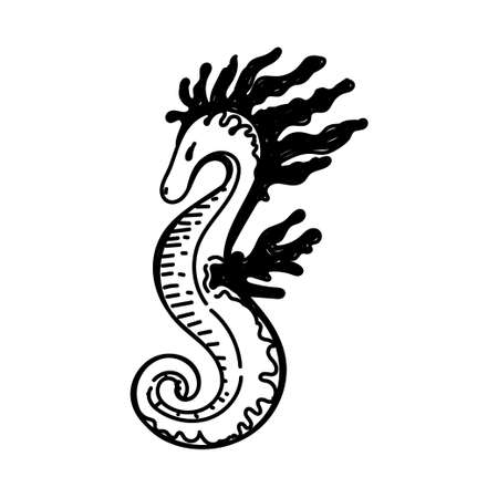 Seahorse, hand-drawn in sketch style. decor element. white background. isolated. sea creatures. Summer. ocean. Flat design Vector simple illustrationのイラスト素材