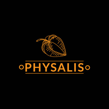 emblem for exotic fruit market, a business for grocery stores. Physalis flower on black background. silhouette. Berries. Physalis. Physalis lace. Hand-drawn doodles in a sketchのイラスト素材