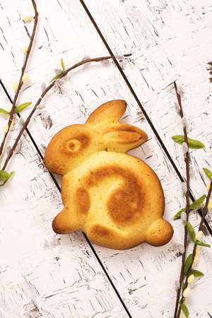 Easter bunny cake over spring background, top viewの写真素材