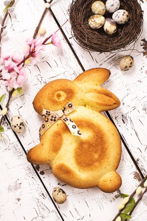 Easter bunny cake and eggs over white wooden backgroundの写真素材