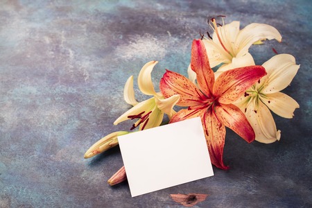 Orange and yellow lilly flowers on vintage blue background. Space for text