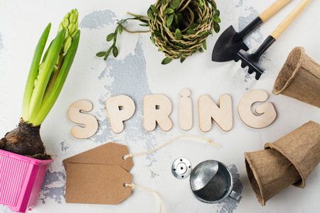 Spring time concept. Hyacinth and gardening tools over white background. Space for text