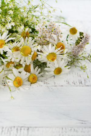 Daisy chamomile flowers on wooden garden table. Meadow herbs in bunch. Copy spaceの写真素材