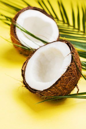 Coconut halves and leaves on yellow backgroundの写真素材