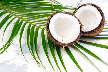 Coconut halves and leaves on white backgroundの写真素材