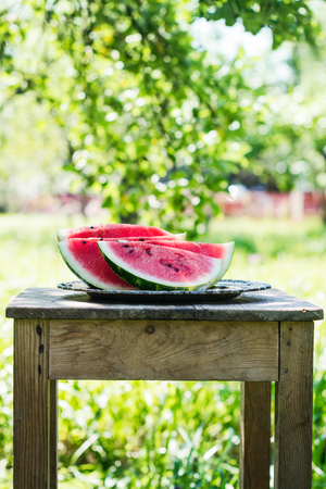 Watermelon slices in the gardenの写真素材