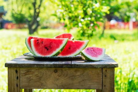 Watermelon slices in the gardenの写真素材
