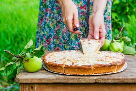 Homemade apple pie in the gardenの写真素材