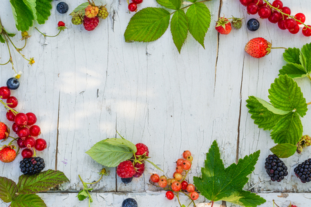 Assortment of summer garden berriesの写真素材