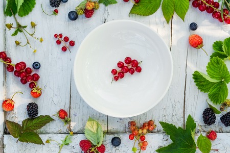 White empty plateの写真素材