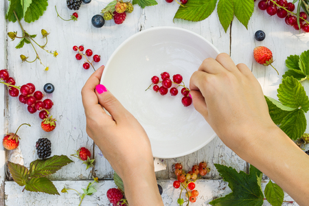 Woman is holding white empty plate and putting garden berries in itの写真素材