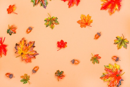 Autumn background with maple leavesの写真素材