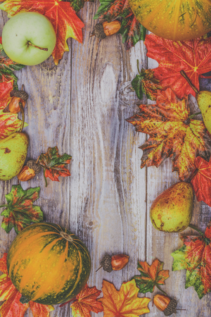 Autumn background with maple leavesの写真素材