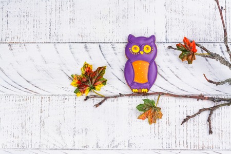 Handmade gingerbread owl cookieの写真素材