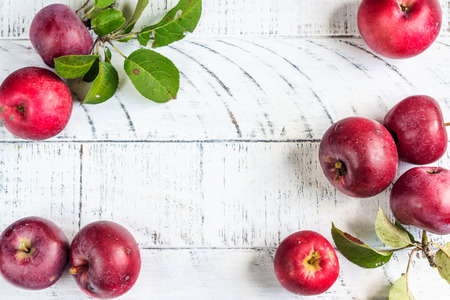 Fresh organic apples with leavesの写真素材