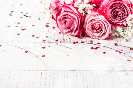 Pink roses on white backgroundの写真素材