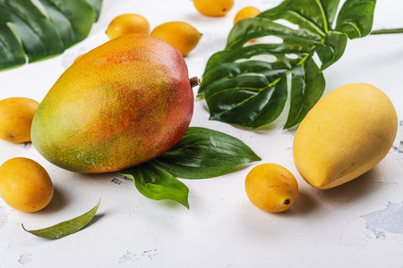 Tropical mango fruitsの写真素材