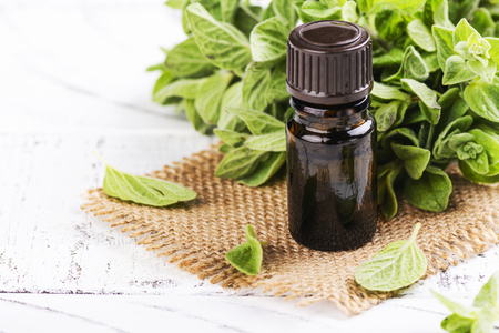 Oregano essential oilの写真素材