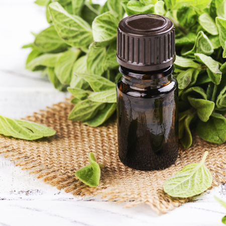 Oregano essential oilの写真素材