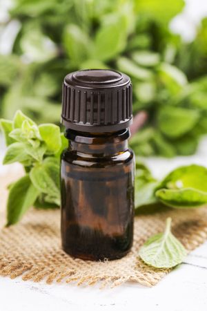 Oregano essential oilの写真素材