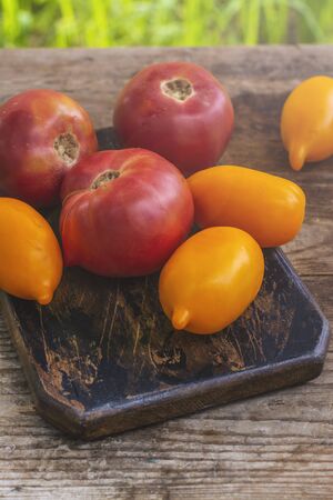 Fresh organic tomatoesの写真素材