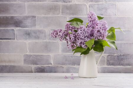 Bouquet of blossoming lilac on whiteの写真素材