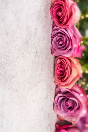 Pink roses background.の写真素材
