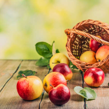 Red apples in a basket