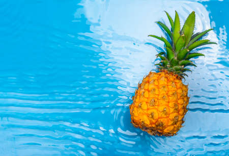Fresh pineapple in waterの写真素材