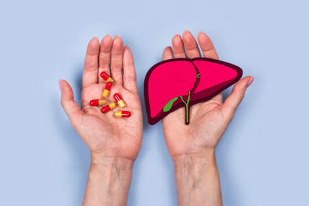 Human liver and pillsの写真素材