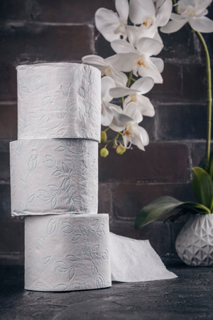 Toilet paper dayの写真素材