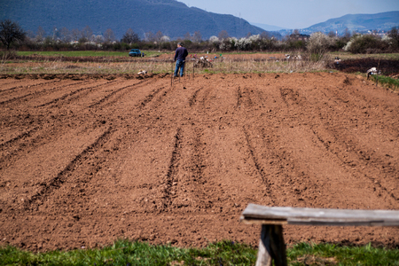 Nice and sunny day of spring sowing, plowed fields, preparation for planting vegetablesの写真素材