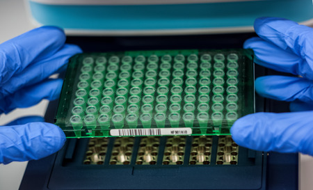 Scientist or researcher or phd student put dna samples into pcr for analysis in a biotechnology laboratoryの写真素材