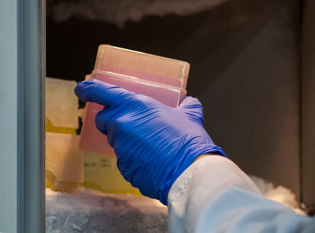 Scientist or researcher or phd student is taking chemical dna samples from refrigerator in biotechnology labの写真素材
