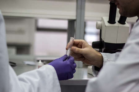 Modern scientist working in biotechnological laboratory equipment for research with pipettes and blue and yellow colorful test tube liquids on the white table and microscope in the backgroundの写真素材