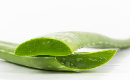 Fresh aloe vera leaves on whiteの写真素材