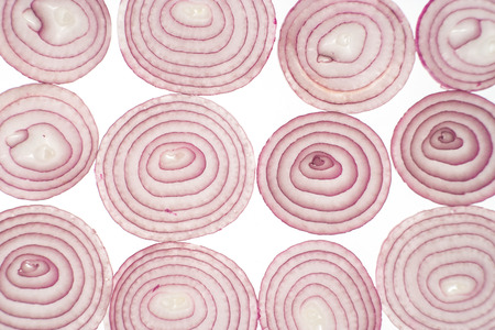 Red onion slices with top view. Background with back-litの写真素材
