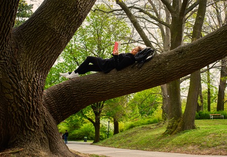 A woman sits up in a tree.の写真素材