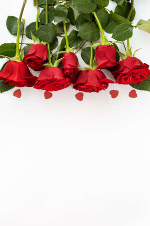 Top view of red roses on white background. Copy spaceの写真素材