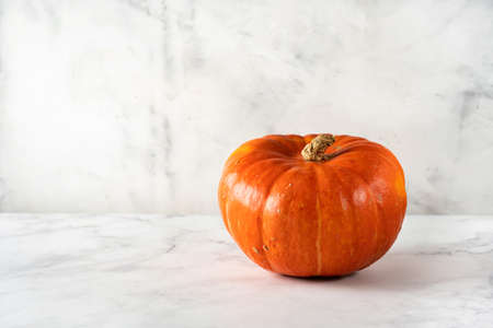 Single orange pumpkin on white background. Copy space