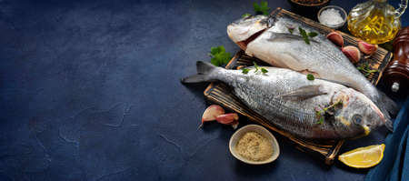 Raw dorado fishes with cooking ingredents on dark blue background