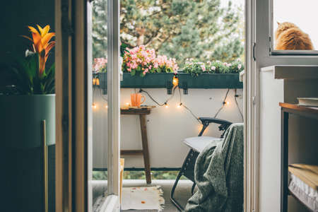 Cosy balcony with armchair, plaid, lights and many plants. Comfort home zone. Unplugging from technology. Autumnの写真素材