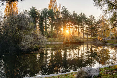 Beautiful sunrise in Vienna water park. Nature of european city during the dawn. Beautiful peaceful viewの写真素材