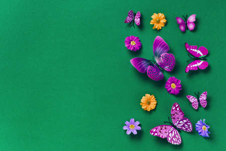 Vivid violet butterflies on green background. Top view. Minimal flat lay concept with copy spaceの写真素材