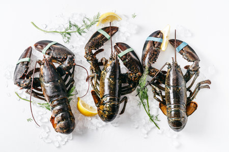 Three uncooked lobsters on white. Close up top viewの写真素材