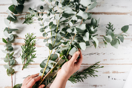 Woman hands holding flowers eucalyptus on white backgroundの写真素材