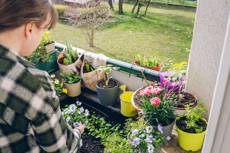 Woman taking care on plants and flowers at her balcony at spring. Urban gardening, mental health and recreation concept.の写真素材