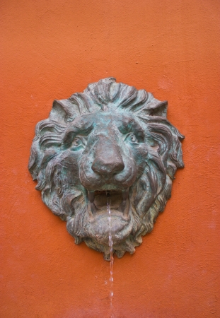 Lion Head Sculpture On Orange Background の写真素材