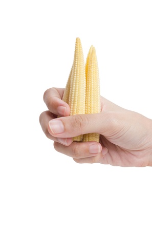Baby corn in hand isolated on white background の写真素材